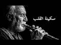 سكينة القلب ناي عربي روحاني وإيقاع دف ناعم للتأمل والنوم الهادئ mp3