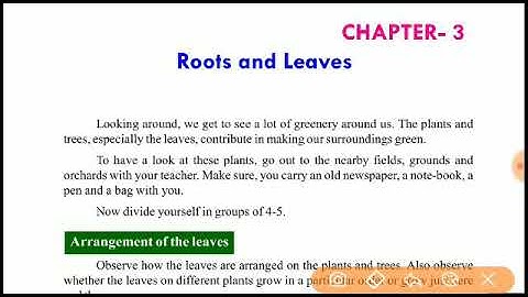 Class-5, EVS, lesson -3 Roots & leaves, part -1