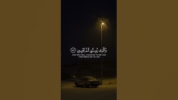 تلاوة القارئ عبد الباسط عبد الصمد - سورة الشعراء #قرآن #عبدالباسط_عبدالصمد #اكسبلور #قران_كريم #قرآن