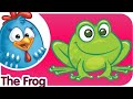 (DIREITOS @LottieDottieChickenUK) The Frog - Lottie Dottie Chicken 1 (UK)