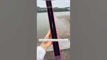 Phao điện câu ngày đêm cảm biến đổi màu câu tổng hợp #cauca #fishing #docauca