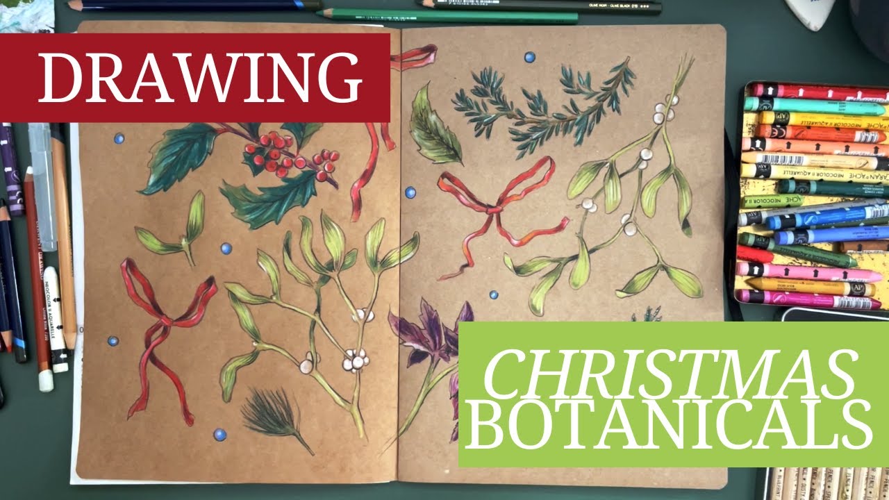 Sketching Christmas Botanicals In My Sketchbook - YouTube