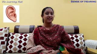 Sense of hearing for nursery and kindergarten kids!