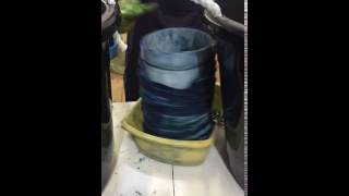 IMG 6437