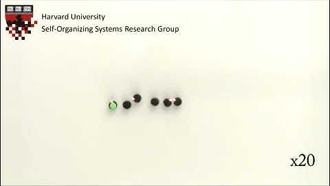 Kilobot a swarm of 1,000 small robots1.mp4