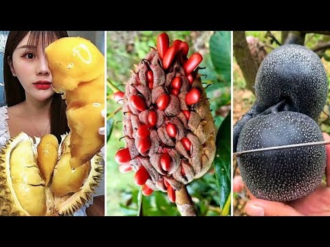 Vídeo: 10 Frutas Exóticas Mais Populares