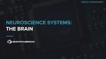 Module 2, Section 1, Lesson 2: The Brain || UC Berkeley CS 198-96