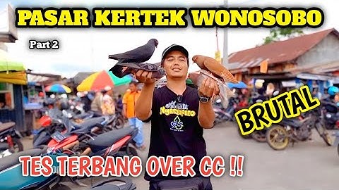 PERBURUAN MERPATI DI PASAR KERTEK WONOSOBO LOP TIPIS TIPIS MERPATI OVER CC PART 2
