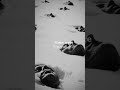 9 hikers fled into the night… and were found dead. What did they see?#darkhistory #shorts