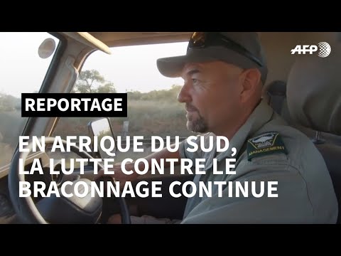 Coronavirus en Afrique du Sud: la lutte contre le braconnage continue aux portes du Kruger | AFP Coronavirus en Afrique du Sud: la lutte contre le braconnage continue aux portes du Kruger | AFP