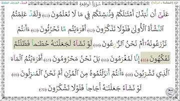 سورةُ الواقِعَةِ (61 - 70) عبد الرشيد صوفي