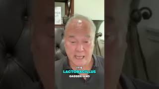 A Yogurt That Fights Sibo?