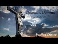 Doamne, Domnul meu, ai milă - fr. Vasilică Cristea - Oastea Domnului