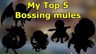My Top 5 Bossing Mules