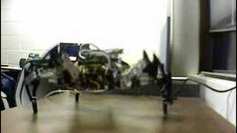 Hexapod Robot Walk
