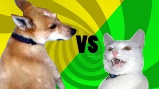 Cat vs Dog: Epic Tail Chaser by Talking Animals 1,500,853 views 11 years ago 1 minute, 28 seconds