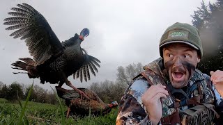 Bowhunting Turkeys Without A Blind! An Exercise In Frustration!