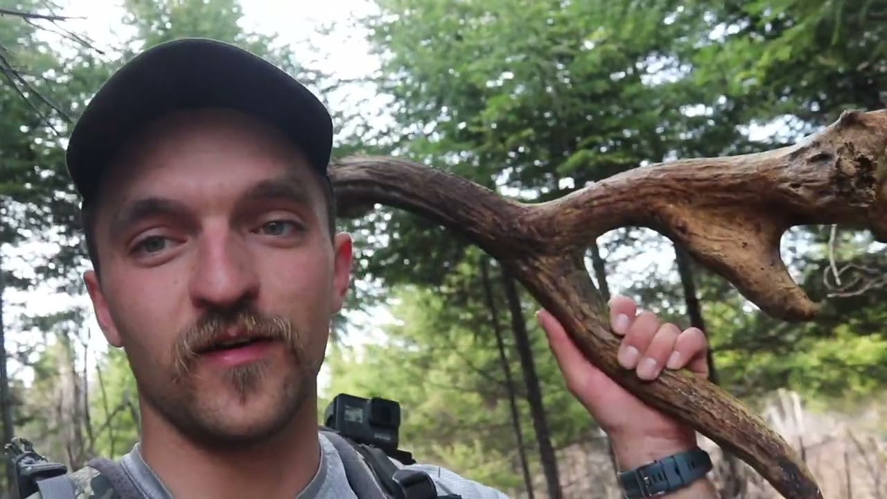 Freak Moose Antlers   12 Sheds in a Day   Canada Day 3  Beyond the Boundaries