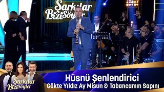 Hüsnü Şenlendirici - GÖKTE YILDIZ AY MİSUN & TABANCAMIN SAPINI