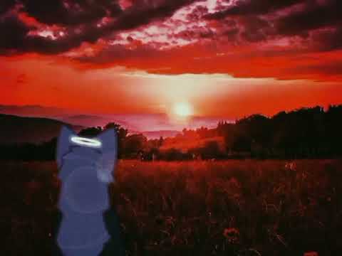 the sunset is beautiful