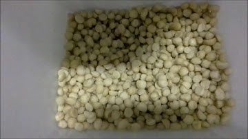 Separating Halves from Whole Style 2 Macadamia Kernel on a Simplamatic AG Mini -Turbo
