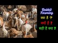 खरगोश पालन क्या है क्यों करते हैं और क्या करना चाहिए || Rabbit Farming kya hai #rabbitfarming