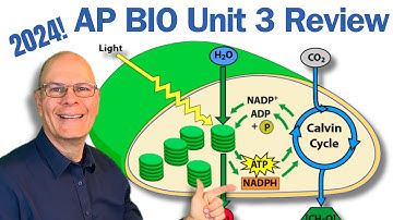 Enzymes, Photosynthesis and Respiration Expertly Explained | AP Bio Unit 3