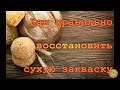 Восстанавливаем силы... у закваски. Как восстановить сухую закваску.