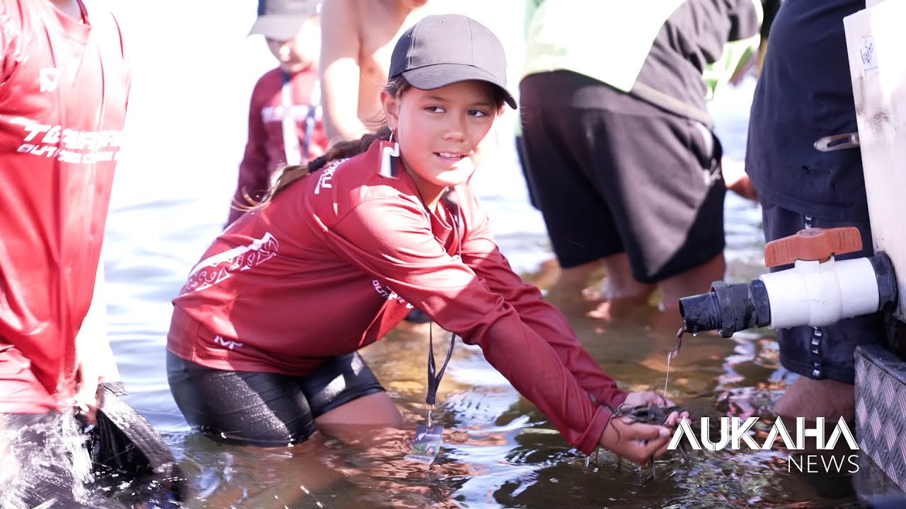 Biosecurity Focus at Waka Ama Nationals Amid Gold Clam Concerns