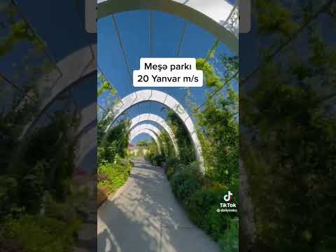 Video: Meşə Parkında Steinberg Buz Konkisi Meydançası