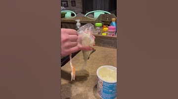 fill piping bag with frosting