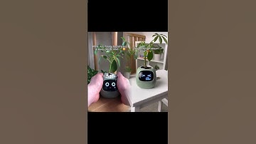 Get your PlantiBoy from our bio #planter #plants #cuteplanter
