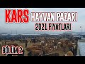 "KARS" Hayvan Pazarı "TÜM FİYATLAR" | Gelin beraber "GEZELİM" | BÖLÜM 2 | #hayvanpazarı