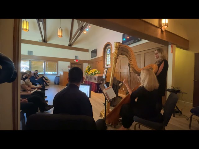 OMG: Amazing Grace Harp, Violin and Vocals Celebration of Life