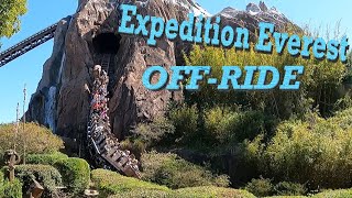Expedition Everest at Walt Disney World - Animal Kingdom, FL Off-Ride Video! (4K)(2024) ⛰️