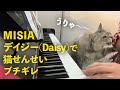 MISIAのデイジー(Daisy)楽譜自作するも難しくて弾けない💦(譜面付き)