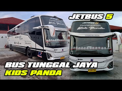 DETIK DETIK BUS TUNGGAL JAYA  NEW KIDS PANDA KELUAR DARI SARANGNYA