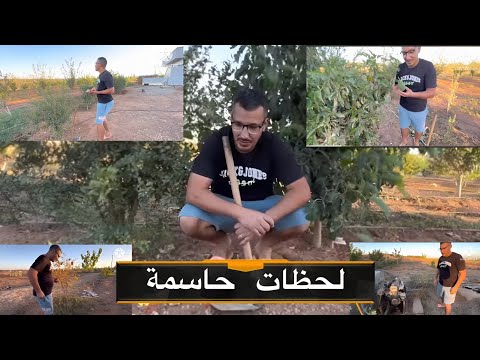 الهضرة رااه بزااف ولكن السكات احسن مهم غادي نخرجوا لجني مجهود ربي لي عالم بيه
