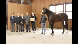 オジュウチョウサン種牡馬へ