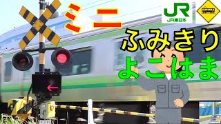 【踏切】工場街ミニ踏切　JR横浜線　Japan Railway crossing JR Yokohama LINE RAILWAY(Kanagawa japan)