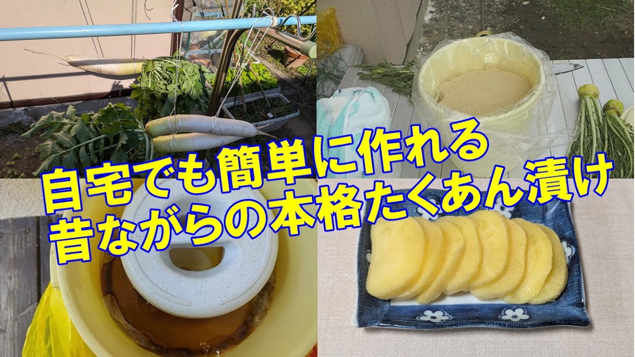 昔ながらの簡単なたくあん漬けの作り方。コツはあれを入れるだけ