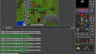 Hunt Hydra - Typhera Open Tibia Server