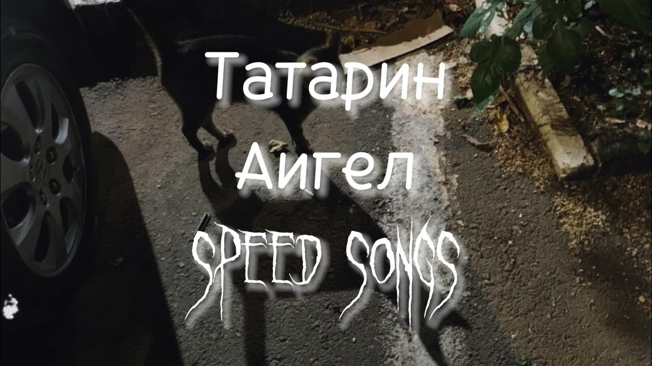 аигел татарин. татарин аигел speed. аигел тур. илья барамия татарин. ангел татарин актер.