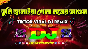 তুমি জ্বালাইয়া গেলা মনের আগুন Dj | Tumi Jalaya Gela Moner Agun Dj | Dj Gan 2025 | Viral Dj Gan