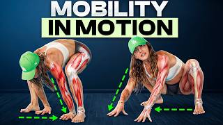 Train Like an Animal, Move Like Never Before