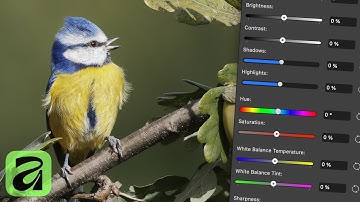 Using the Quick Adjustments Panel in Affinity