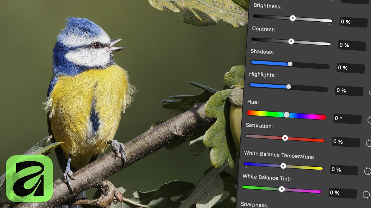 Using the Quick Adjustments Panel in Affinity - YouTube