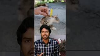 🐱Cat clip nosis method // Sri info (Tamil)