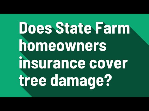 Video: Wat dekt het beleid van State Farm huiseigenaren?