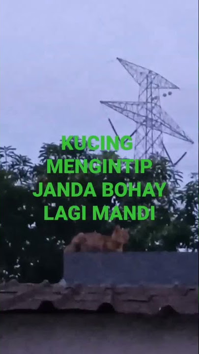 Kucing Lagi Ngintip Janda Bohay Mandi